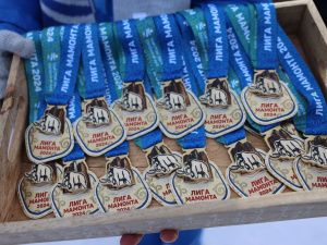 Дружеский хоккейный матч между «Легендами хоккея» и сборной Якутии закончился вничью