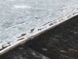 МЧС: ледоход на Лене находится в 600 км от границ Якутии