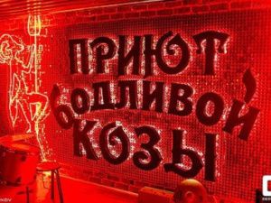 Владелец «Приюта бодливой козы» оштрафован на 3 миллиона