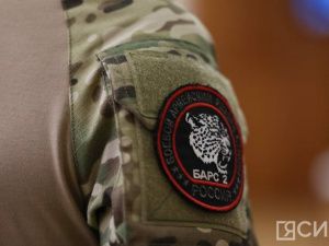 В РФ впервые ввели единый документ участника СВО