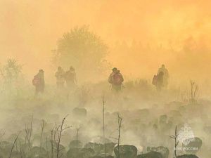 В Якутии действуют 44 природных пожара