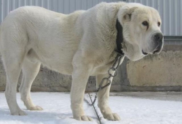 В Якутске чуть не повторилась трагедия двухлетней давности