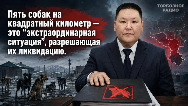 Пять собак на квадратный километр — это «экстраординарная ситуация», разрешающая их ликвидацию