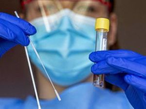 Коронавирус: официальная информация