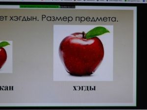 Прошел открытый онлайн-урок эвенкийского языка