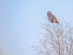 Антип Водогон: что можно и нельзя делать 24 апреля