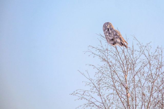 Антип Водогон: что можно и нельзя делать 24 апреля