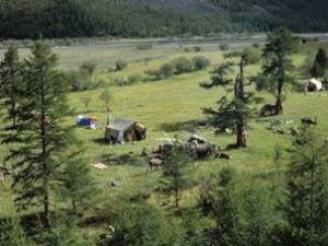 В Якутии ущерб природе оценили в 40 миллионов рублей