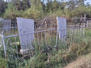 Контроль за работами, ровные ряды и благоустройство территории: что изменится на кладбищах Якутска