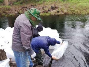 Рудники Nordgold направили 1 млн рублей на восстановление водных биоресурсов Якутии