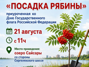 Приглашаем на экологическую акцию «Посадка рябины»!