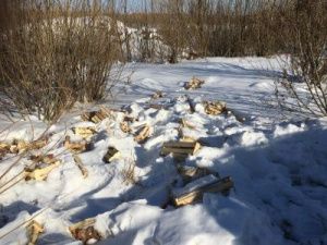 Зеленый луг захламлен мусором из овощей и фруктов