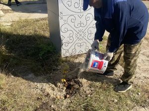 Итоги экологической акции «Пригороды - городу»: 884 новых дерева за одну неделю