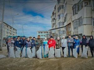 Аппарат гордумы провел субботник