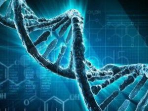 Ученые обнаружили высокую предрасположенность якутов к эпилепсии и деменции