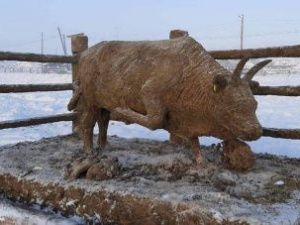 Михаил Боппосов презентовал символ 2021 года