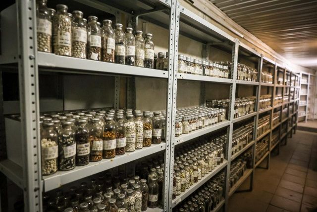 Джулустан Борисов провел совещание по вопросам развития лаборатории криохранилища Якутии