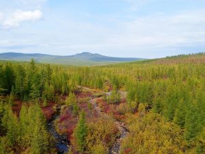 В Якутии осталось действовать два лесных пожара