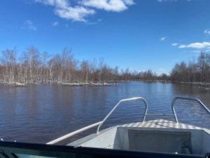 Потеряли все 106 лошадей с турбазой и техникой