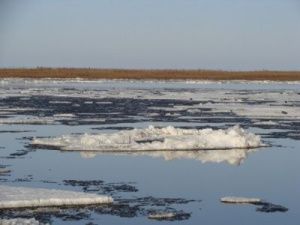 Паводковая ситуация в Якутии