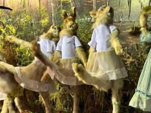 Зайцы-спортсмены и ондатра-супермен: необычные чучела животных делает таксидермист из Якутии