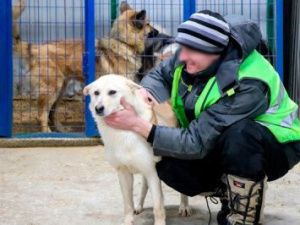 Осужденные ухаживают за животными в приюте