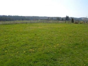 Как подать заявление на получение земельного участка в Якутске