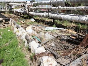 В Промышленном округе проверяют работу управляющих компаний