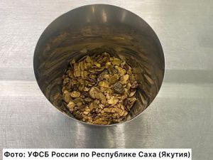 В Якутии задержан уроженец Читинской области, везший в автомобиле более 4 кг золота стоимостью свыше 30 млн рублей