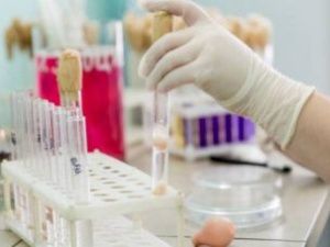 В Якутии за сутки выявлено 99 новых случаев коронавируса