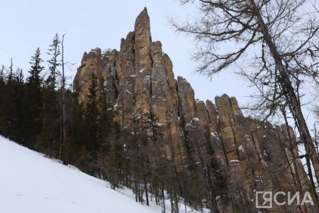 Поток китайских туристов в Якутию вырос на 50% в 2023 году