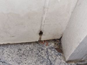 Фото с червями в школе Якутска оказалось фейком