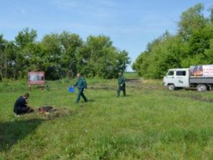 На майских праздниках будет усилено патрулирование лесов