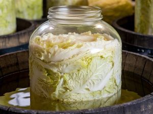 Пять простых и вкусных рецептов квашенной капусты