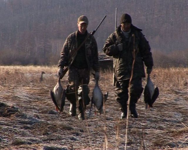 Вниманию охотников! Выдача разрешений на весеннюю охоту
