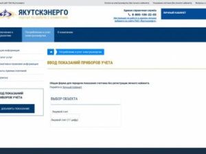 Как передавать показания электросчетчика онлайн?