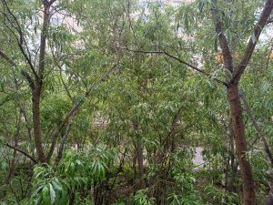 Лето называется: Тепло вообще вернется или нет?