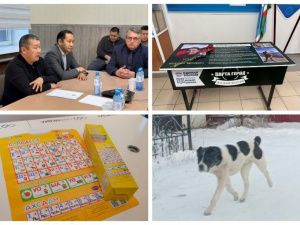 Что произошло в Якутии 14 ноября: обзор событий за день