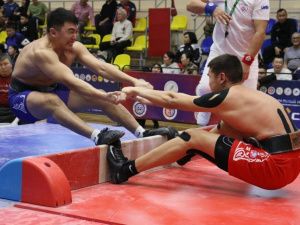 Кубок Федерации по мас-рестлингу примет Якутск