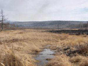 Якутянам напомнили о запрете на выжигание сухой травы