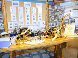 Айсен Николаев поблагодарил коллектив библиотеки-музея ямщицкой культуры в Хангаласском районе