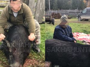 Полицейские разыскали мужчину, застрелившего кабана в Якутии