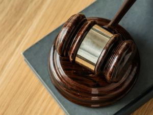 На жительницу Якутии подали в суд за использование персонажа из мультсериала «Три кота» в костюмированных шоу