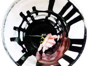 «Не ожидала, что реакция будет такой бурной».  Художница Вера Петрова — о провокационных образах с черепами и критике