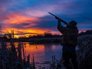 Открытие летне-осеннего сезона охоты в Якутии откладывается из-за пожаров