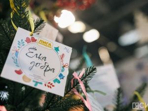 Дмитрий Садовников и руководители курируемых ведомств приняли участие в «Елке добра»