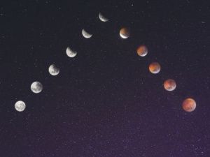 Гороскоп на 23 января 2024 года: советы для всех знаков зодиака