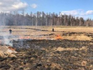 Сахамин Афанасьев рассказал, почему затянулись лесные пожары в Якутии