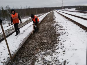 Исключительная профессия!