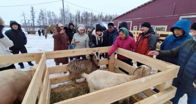 Еще одна точка на туристической карте Якутии: экоферма «Люксюгюн» семьи Ионовых